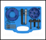Sealey VSE6940 Timing Tool & Fuel Injection Pump Kit - Ford, PSA, LDV