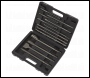 Sealey WDCS Worksafe® SDS Plus Drill Bit & Chisel Set 13pc