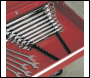 Sealey WR01 Premier Sharks Teeth Spanner Rack 2pc