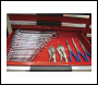 Sealey WR02 Premier Magnetic Sharks Teeth Spanner Rack 2pc