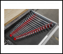 Sealey WR02 Premier Magnetic Sharks Teeth Spanner Rack 2pc