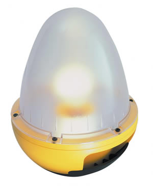 Egg Light (110 Volt Only)