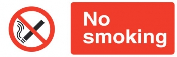 No Smoking (Large)