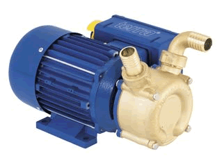 Terra T1 1 inch  (25mm) Transfer Pump (110/240 Volt)