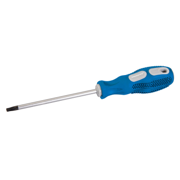 Silverline General Purpose Screwdriver Trx - T25 x 100mm - Code 244703