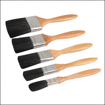 Silverline Mixed Bristle Brush Set - 5pce - Code 427557