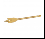 Silverline Titanium-Coated Flat Bit - 20mm - Code 117657