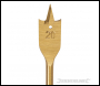 Silverline Titanium-Coated Flat Bit - 20mm - Code 117657