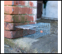 Fixman Rat Cage Trap - 300 x 150 x 130mm - Code 196052