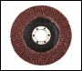 Silverline Aluminium Oxide Flap Disc
