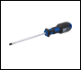 King Dick Screwdriver Slotted - 4 x 100mm - Code 21011