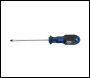 King Dick Screwdriver Slotted - 4 x 100mm - Code 21011