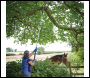 Silverline Extendable Pruning Saw - 1.5 - 2.5m - Code 245077
