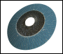 Silverline Zirconium Flap Disc