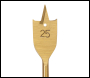Silverline Titanium-Coated Flat Bit - 25mm - Code 983751