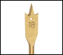 Silverline Titanium-Coated Flat Bit