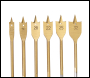 Silverline Titanium-Coated Flat Bit Set 6pce - 10 - 32mm - Code DS32