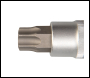 King Dick 3/4 inch  SD Inserted Trx Bit Socket
