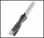 Trend Dowel Drill 10mm Diameter - Code 61/01X1/4TC