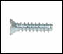 Trend 5.5mm X 19mm Pan Pozi Self Tapping For Plastic - Uk Only - Code WP-SCW/116