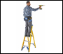 Werner 7170318 Fibreglass Platform Stepladder 3 Tread - Code 7170318