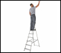 Werner 7400618 Stepladder 6 Tread High Handrail - Code 7400618L