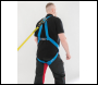 Werner 79201 Work Restraint Kit - Code 79201