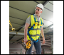 Werner 79204 Professional Construction Worker Kit - Code 79204