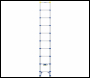 Werner 85029 Telescopic Soft Close Extension Ladder 2.9m - Code 85029