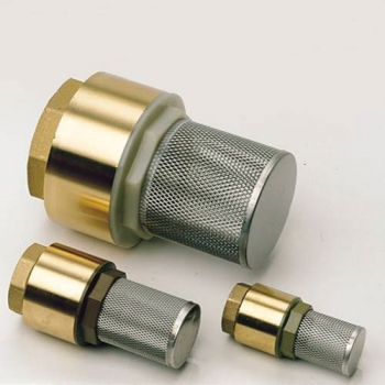 Clarke 3 inch  Brass Foot Valve/Filter