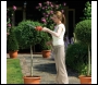 BLACK & DECKER GSL700 7.2v - Shrub trimmer - Code GSL700