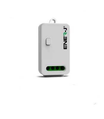 ENER-J Non Dimmable 10A RF Receiver - Code WS1065