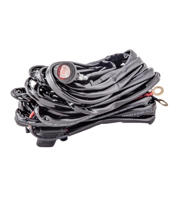 LTPRTZ LTPRTZ Harness DT2 - Code LTPZ-DT2