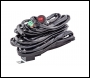 LTPRTZ LTPRTZ Harness DT1 - Code LTPZ-RHR10
