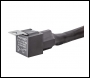 LTPRTZ LTPRTZ Harness DT1 - Code LTPZ-RHR10