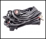 LTPRTZ LTPRTZ Harness DT2 - Code LTPZ-DT2
