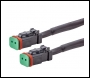 LTPRTZ LTPRTZ Harness DT2 - Code LTPZ-DT2
