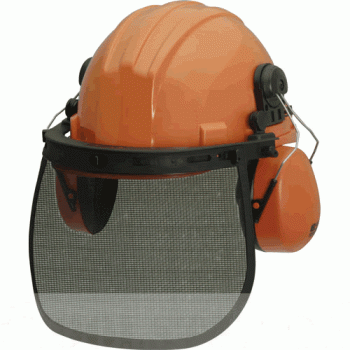 MSA Forestry Mesh Visor