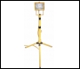 Telepod Light with Single Halogen Head (110/240 Volt)