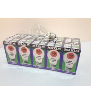 Lumer Spare ES 60W Bulb for 110v Festoon Kit (x10)