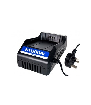Hyundai 36vLich Battery Charger
