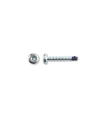 Dewalt DFM1420090 BLUETIP-BT6x45 Pan Head ScrewBolt-ZncPlt Qty 100