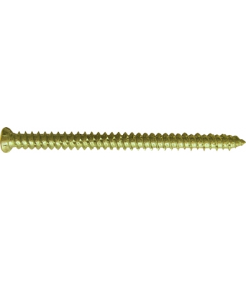 Evolution Self Tapping Concrete Screw Torx Head