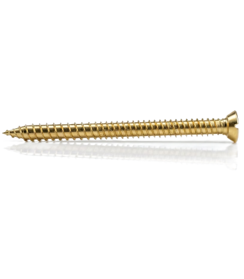 Evolution Self Tapping Concrete Screw Torx Head