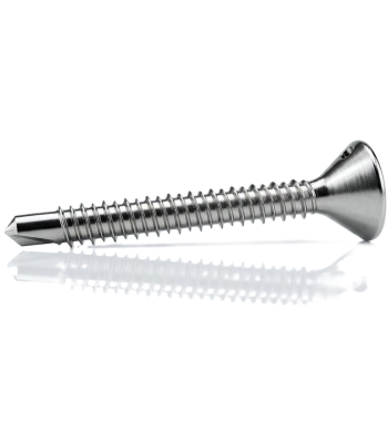 Evolution 4.8 x 32mm Stainless Steel + Bi-Metal Hi-Lo Thread Self Drilling Drywall Screws Qty 200 - Code BMDW4.8-32