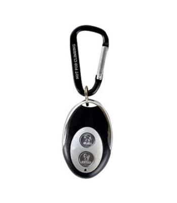 Champion Wireless Key Fob