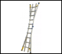 Werner 75065 Multi-purpose Telescopic Combination Ladder-4x5
