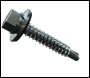 Evolution Bi-Metal Halter Clip Stainless Steel Screw - 6.3 x 38mm (Per 200)