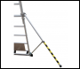 BoSS 32951500 TeleguardPLUS 12 Rung Telescopic Platform Ladder