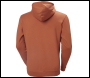 Helly Hansen Logo Hoodie - Code 79364